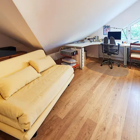 Apartment 3,5 Zimmer Traumwohnung Im Dg Mit Balkon
